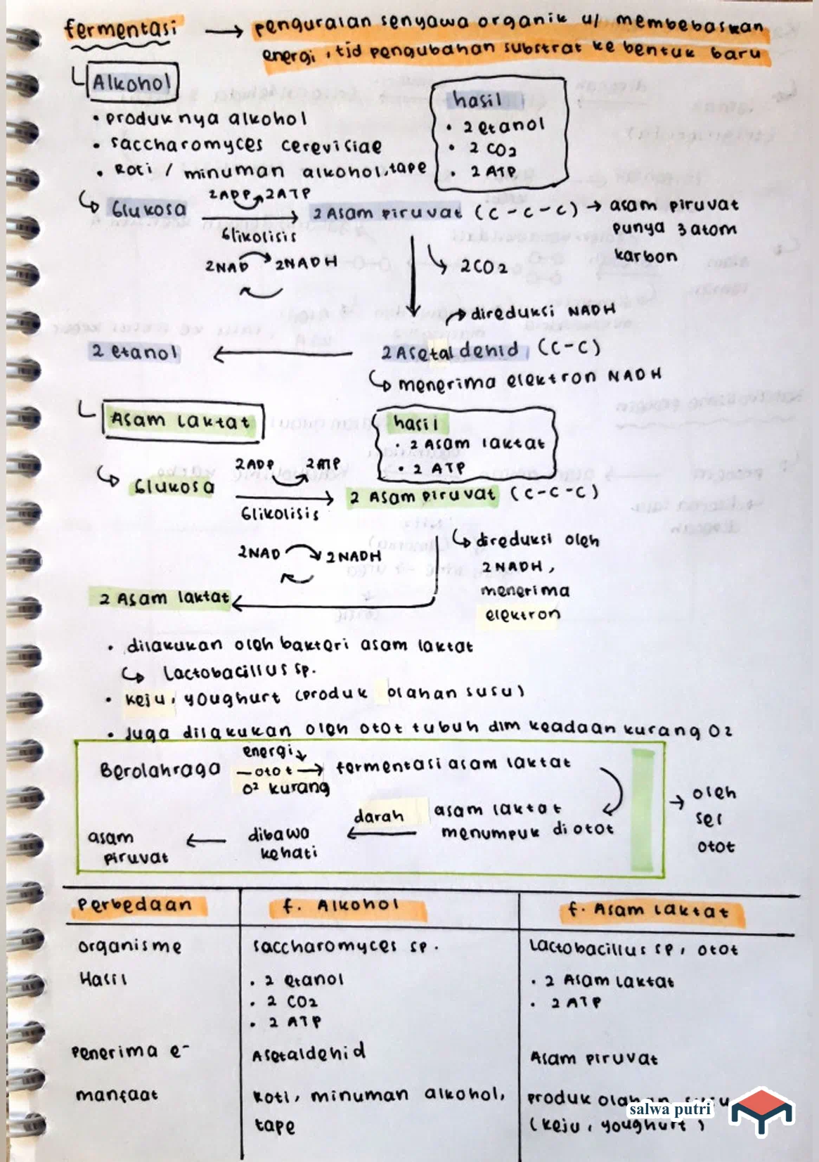 Fermentasi Alkohol Dan Asam Laktat